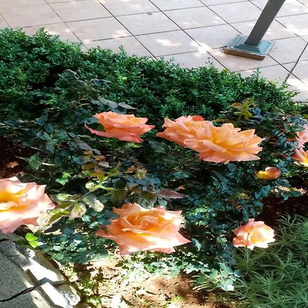 קרלובג Apartments Paola חדר תמונה