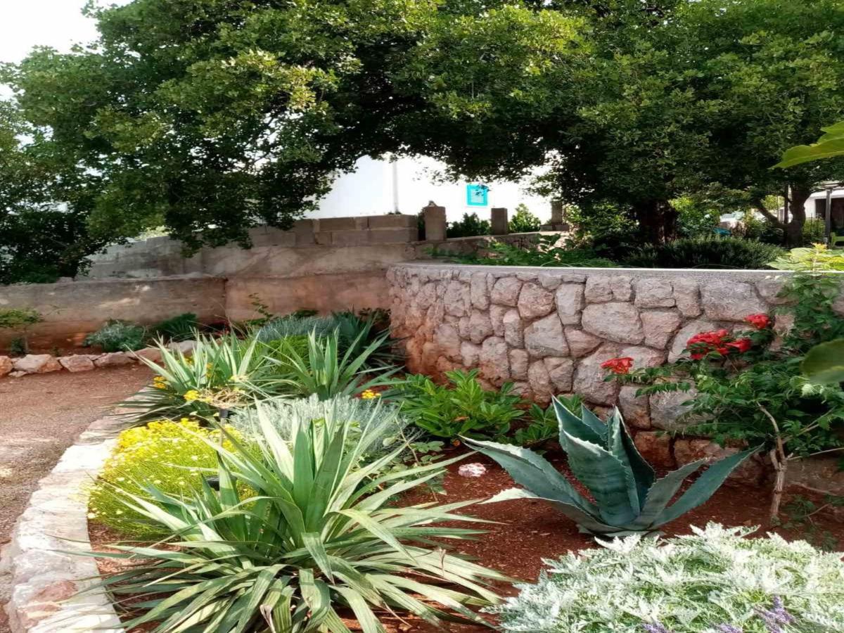 קרלובג Apartments Paola מראה חיצוני תמונה