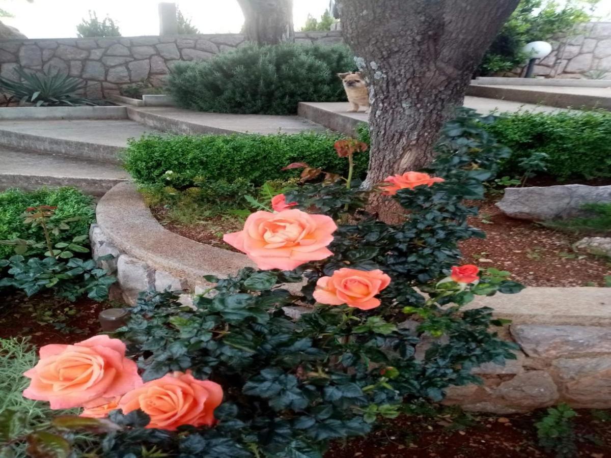 קרלובג Apartments Paola מראה חיצוני תמונה