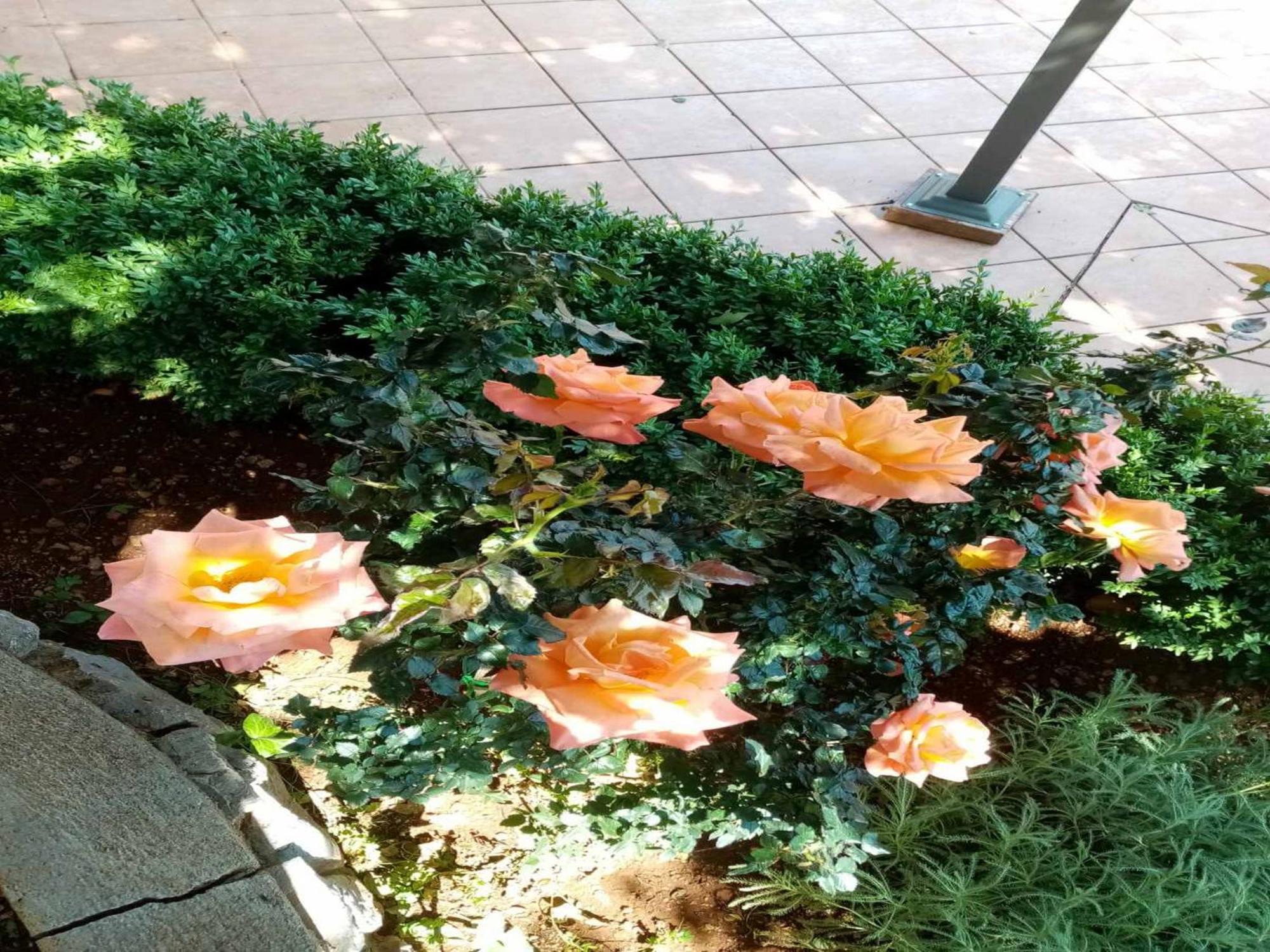 קרלובג Apartments Paola חדר תמונה