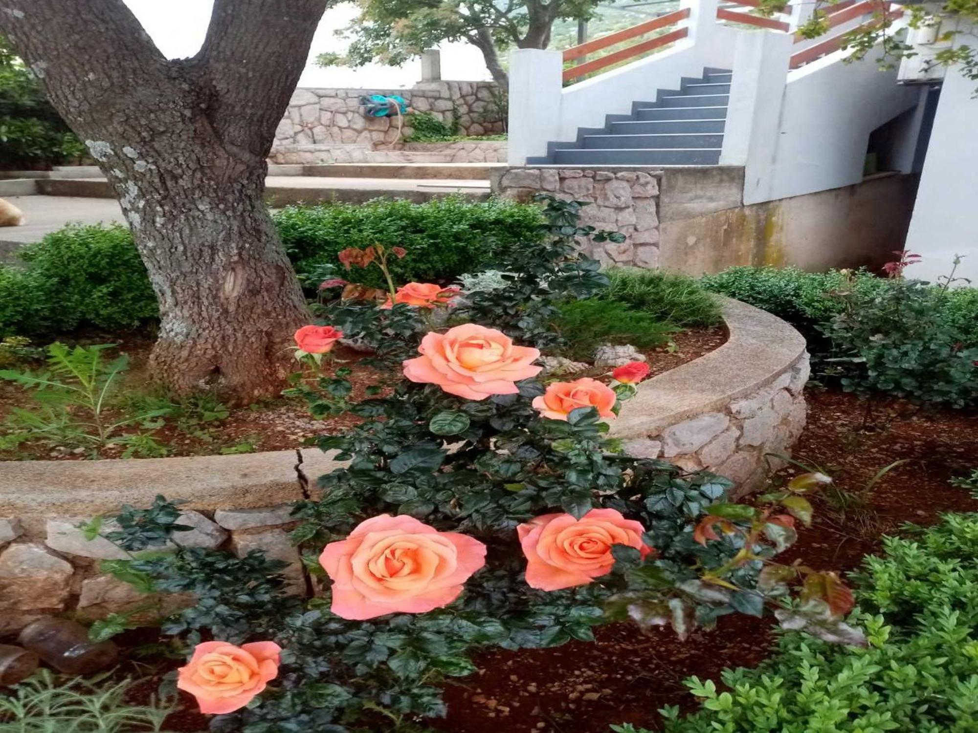 קרלובג Apartments Paola חדר תמונה